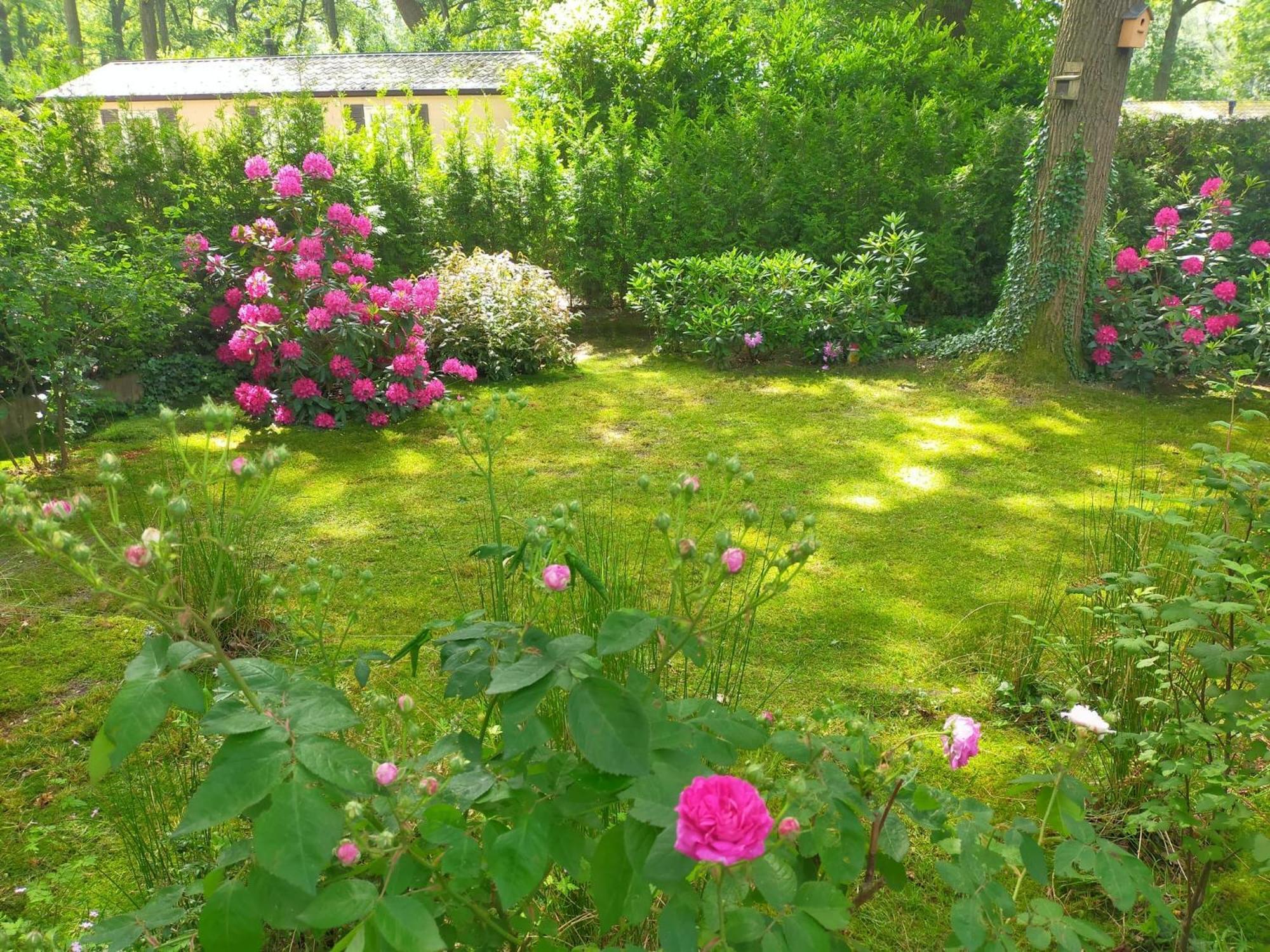 Vakantie Veluwe Wageningen Ngoại thất bức ảnh